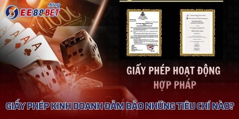 Giấy phép kinh doanh đảm bảo những tiêu chí nào?