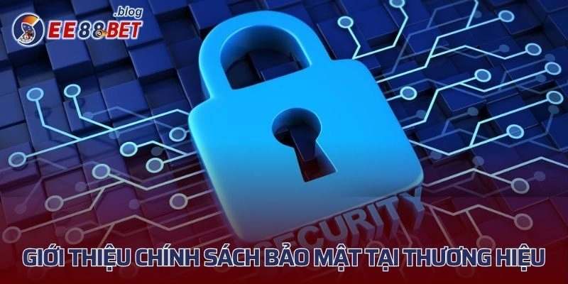 Giới thiệu chính sách bảo mật tại thương hiệu