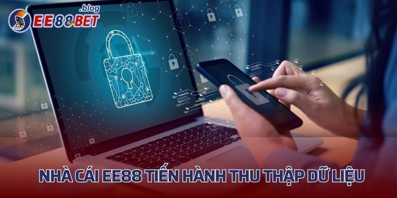 Nhà cái tiến hành thu thập dữ liệu phân tích để bảo mật chúng